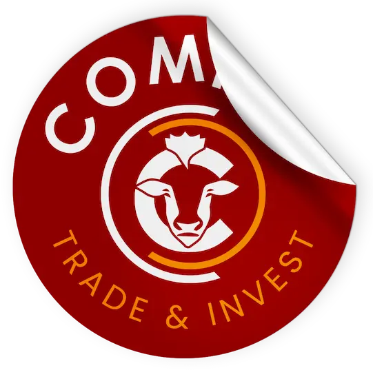 Comino Trade & Invest's Brand collateral