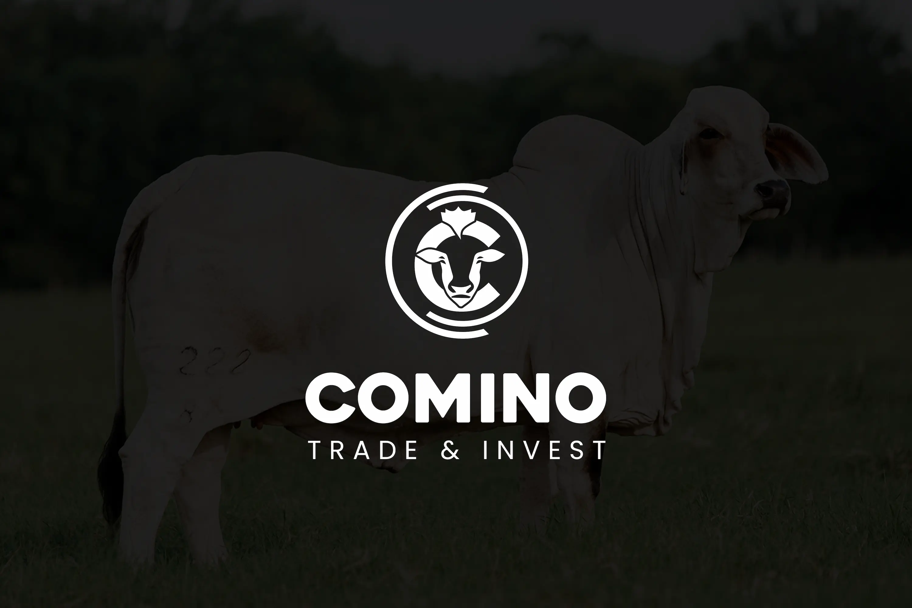 Comino Trade & Invest's Brand collateral